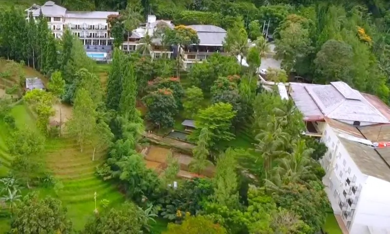Albero Hotel Pancawati Bogor