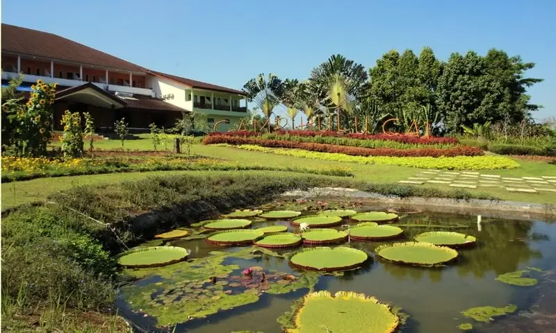 Camp Hulu Cai  Bogor