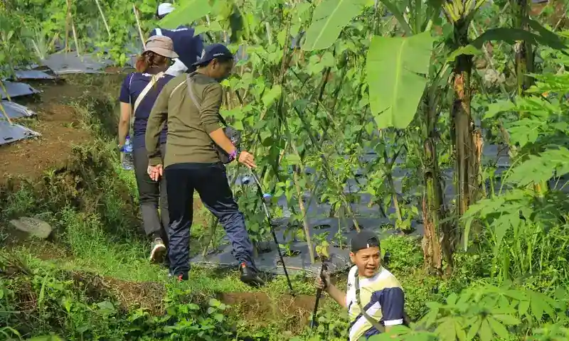 Peserta outbound Pancawati berjalan menyusuri jalur trekking alam di kawasan Bogor