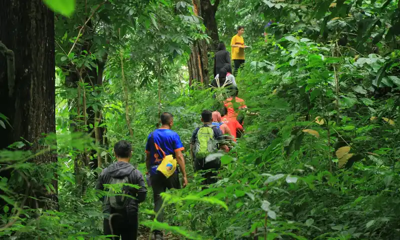 Peserta trekking menyusuri jalur hutan dalam paket plus outbound Bogor